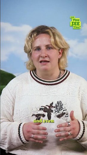 Tiles Turning Steps Into Electricity? #DidYouSeeThis