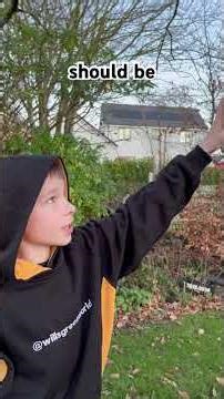 Trail cam!! We hope to see some wildlife in our garden 🦡 🦊 🦔 🐿️
