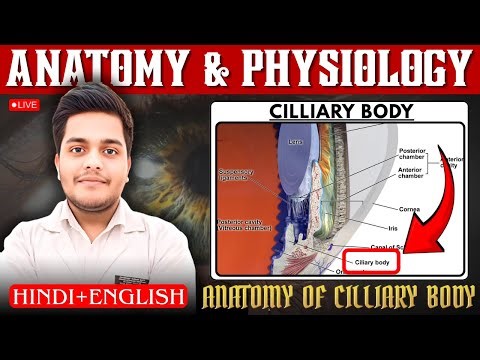 Cilliary Body | Anatomy of Cilliary Body | Anatomy & Physiology | PD Academy |