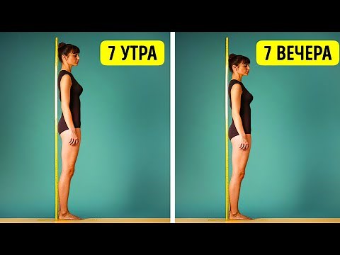 65+ фактов о теле, которые мне пришлось проверять, чтобы поверить