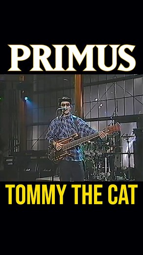 FUNK BASS WORLD on Instagram: "⭐️LES CLAYPOOL⭐️ Primus - “Tommy The Cat” @primusville @lesclaypool @larrylalondeofficial @timalexander65 📺 The Dennis Miller Show 📅 1992 🎸🎸🎸 #primus #primussucks #lesclaypool #larrylalonde #timalexander #funkrock #funkmetal #carlthompson #carlthompsonbass #slap #slapbass #slapping #slappingbass #bas #bass #bassist #bassistsofinstagram #bassplayer #bassplayers #bassgram #bassplayerunited #basslove #bassuniversity #basshead #basslife #ベース"
