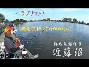 ヘラブナ釣り 近藤沼 穂先ごと持って行かれたぁー！ 群馬県館林市 #fishing #釣り #へらぶな釣り #近藤沼 2026年4月19日釣行