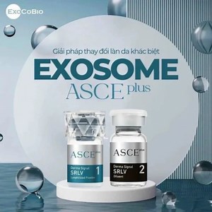 [Hot Item] Exosome Solution Repair Mesotherapy Skin Cell Asce Plus Exsome