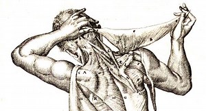 Strange Medicine, by Nathan Belofsky: exclusive excerpt