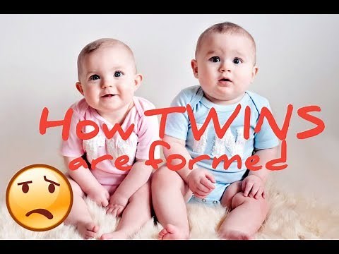 HOW TWINS ARE FORMED || IDENTICAL & NON-IDENTICAL TWINS