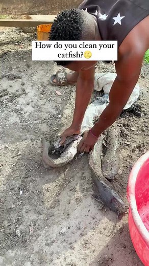 Best Methods to Clean Catfish: Ash, Salt, Hot Water, or Lemon Juice?