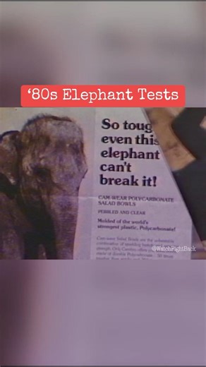 ‘80s Elephant Tests