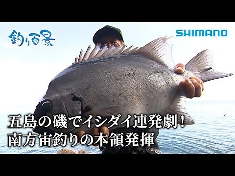 【釣り百景】#547 五島の磯でイシダイ連発劇！南方宙釣りの本領発揮