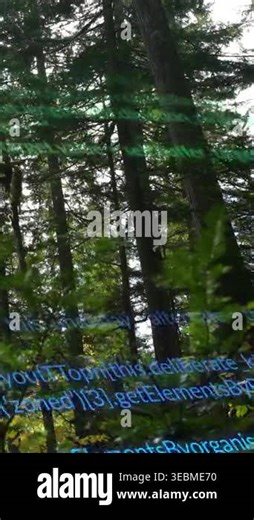 Vertical video: Conifer trunks holding while green-blue code appearing, scrolling, showing data. Forest, canopy, ferns, overcast, moody, digital, vertical video Stock Video Footage - Alamy