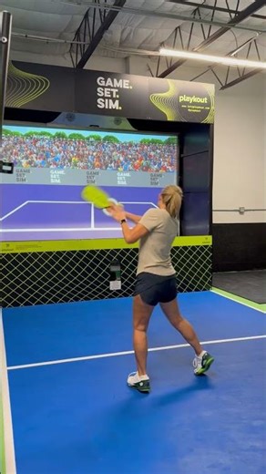 Target Practice at Game. Set. Sim.