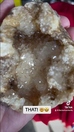 Watch this Southern Indiana geode transform! 🤯🤩 | Rockhounding Indiana