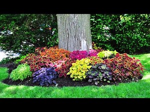 WONDERFUL! AROUND TREE FLOWER GARDEN DESIGN IDEAS | AMAZING IDEAS FOR YARD FLOWER BEDS AROUND TREES