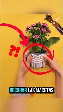 8 Formas Geniales de Transformar Ropa Vieja que Ya No Usas!