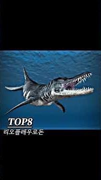 내가 좋아하는 고대 바다생물 순위 TOP 15 #고대생물