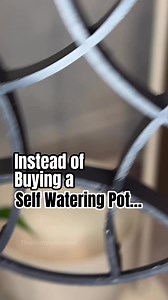 COMMENT “self watering” for more details and instructions to make your own self watering pot! 💚 ——————————————— self watering pots benefits, best self watering planters, how self watering pots work, indoor plants for self watering pots, self watering pots for beginners, self watering system for plants, avoid overwatering with self watering pots, best indoor self watering pots, houseplants that thrive in self watering pots | theplantymillennial
