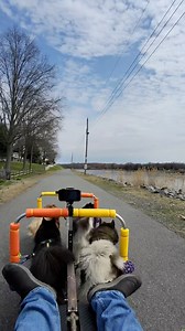 Getting onto the Chesapeake & Delaware Canal yesterday! Dogs are always so EXCITED to run!! #PottyBreaks | WooFDriver