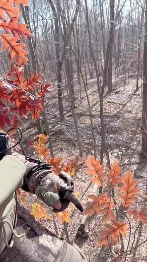 Upgrade Your Hunting Game with Ghilliepuck - Get Tactical Now!