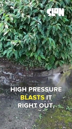 Biggest Brick Pressure Washing Mistake to Avoid