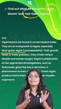 Plus One Biology | Biological Classification 🧬 NCERT Intext Question Discussion | RK Nex
