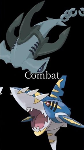 SHARPEDO (GREAT WHITE SHARK VS MARTELL (HAMMENED SHARK)