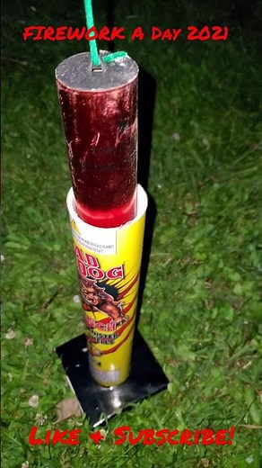 Another 6" Canister Shell Mad Dog - TNT Fireworks #Shorts (Firework A Day 2021)