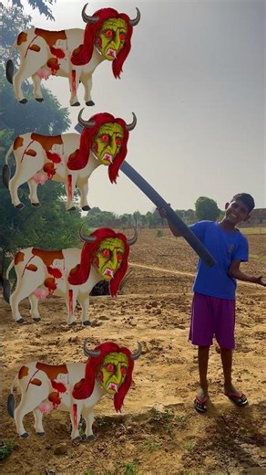 COW 🐮 cow videos 🐄 গরু , cow video || COW COW || #cowvideos #cow #cowcow cow ki video #cowkivideo