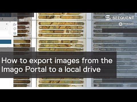 How to export photos from the Imago Portal to a local drive