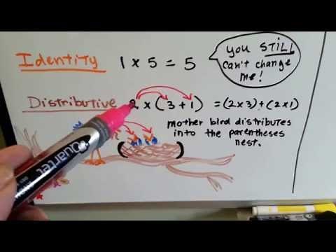 Grade 6 Math 1.6, Properties of Addition and Multiplication