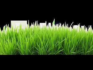 Disney channel RARE idents 1997-1999 1997-2000 (CREATION!!!!!!!!!!!!!!!!)