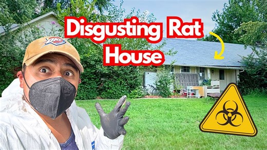 Disgusting House Flip: Bug-Infested Property Transformation