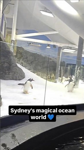 SEA LIFE Sydney Aquarium 😍🐠 | Sydney's Underwater World