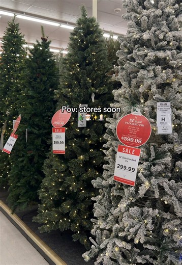 Christmas Countdown: 176 Days Until Decorations and Outdoor Decor Ideas