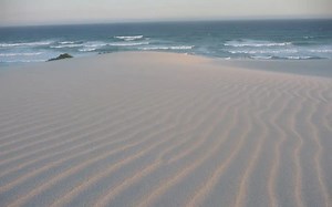 Emergence Comes From Nowhere, Does Nothing, Goes Nowhere, But Still Becomes Theory