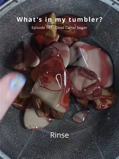 Exciting Rock Tumbling Competition Highlights Dead Camel Jasper