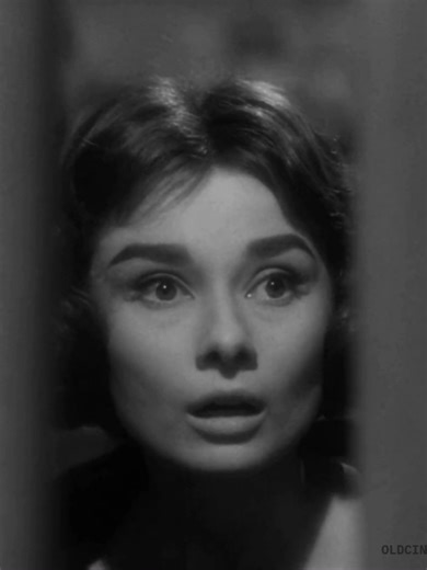 love in the afternoon (billy wilder, 1957) #audreyhepburn #audreyhepbu... | audrey hepburn