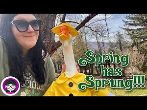 Spring in the Mountains!! Gertrude the Goose's New Outfit, Bird Feeding, and Crochet!!