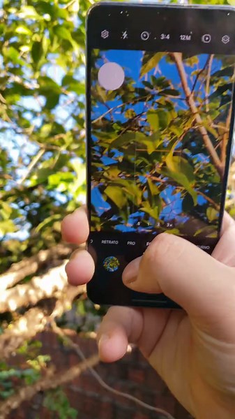 Samsung Galaxy S21 Camera Features and Review