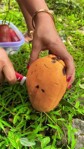 Mango Fruit #mango