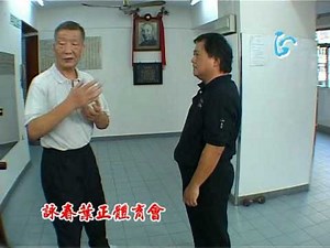 Ip Ching Wooden Dummy 1st secton and application 葉正木人樁第 1節及解樁