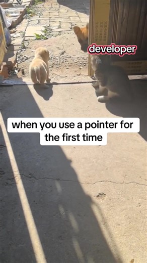 when you use a pointer for the first time #fyp #coding #computerscience #programming