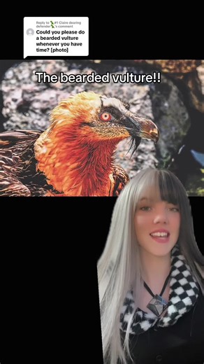Amazing Facts About the Bearded Vulture
