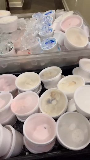 tmalone (@taylorwilliams344)’s videos with original sound - tmalone