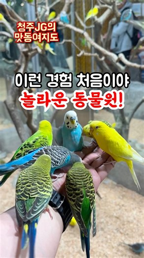 처음 경험한 놀라운 동물원!!😍