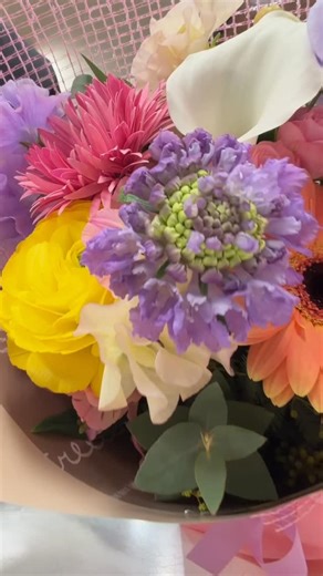 沢辺生花店 | 奈良県磯城郡の花屋 on Instagram: ". 今日(1月31日)は愛妻の日💐 花束のご注文ありがとうございます😊 また奥様とご来店して、おうち用のお花を一緒に選んで買う。 そんな1日を沢辺生花店で過ごしてくださりありがとうございました♪ ちなみに、由来は1（アイ）31（サイ）という語呂合わせから、日本愛妻家協会が制定しました。 ——————————————— ＊奈良の花屋 沢辺生花店＊ TEL：0745-43-0944 住所：奈良県磯城郡川西町唐院347 営業時間：am9:00-pm6:00 定休日:火曜日 ———————————————"