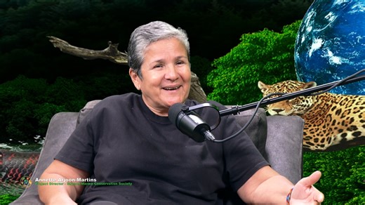 81K views · 28 reactions | Apart from the outstanding work done at...