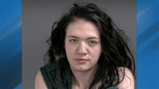 Mother facing 7 charges after children were allegedly found abandoned at Flint Twp. home
