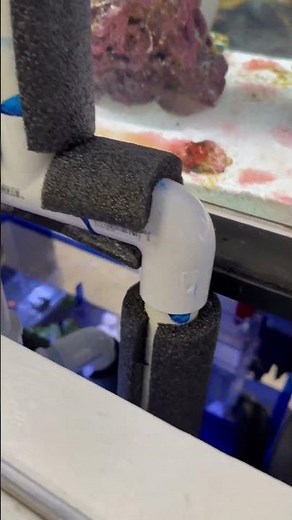 Overflow aquarium setup. #saltwateraquarium #saltwatertank #aquarium #reefmat #redsea