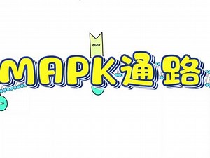 mapk信号通路有哪些