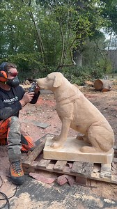 Creating the details for this Labradors face! 👌 #dogs #woodworking #detailing #satisfying #artist | Michael Jones Chainsaw Sculptor