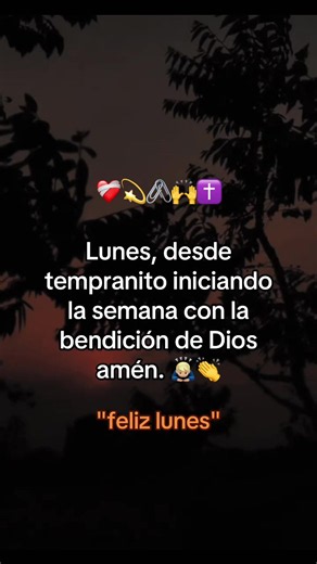 #buenosdias #feliziniciodesemana💛💙❤️💫🙏 #bendiciones🌹❤️🙌🏻🙌🏻🙏 #dioslosbendiga🌹💖🙏 #felizlunescontodalaactitud🙏🥰🙏🥰🙏🥰